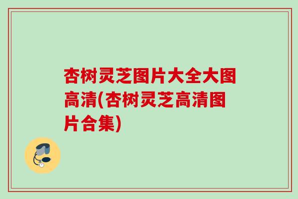 杏树灵芝图片大全大图高清(杏树灵芝高清图片合集)