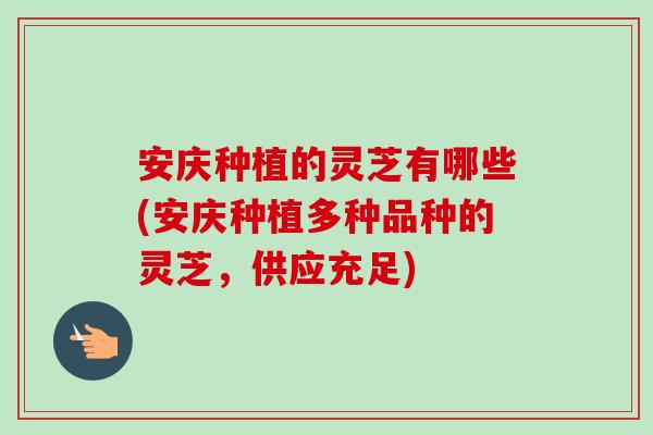 安庆种植的灵芝有哪些(安庆种植多种品种的灵芝，供应充足)