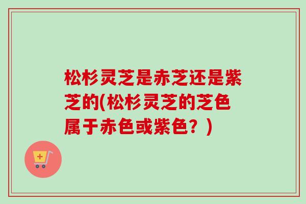松杉灵芝是赤芝还是紫芝的(松杉灵芝的芝色属于赤色或紫色？)