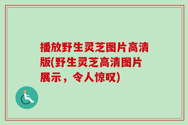 播放野生灵芝图片高清版(野生灵芝高清图片展示，令人惊叹)