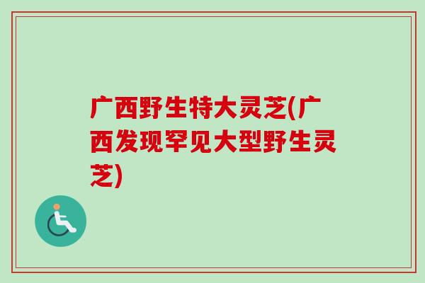 广西野生特大灵芝(广西发现罕见大型野生灵芝)