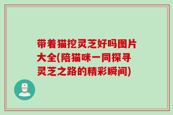 带着猫挖灵芝好吗图片大全(陪猫咪一同探寻灵芝之路的精彩瞬间)