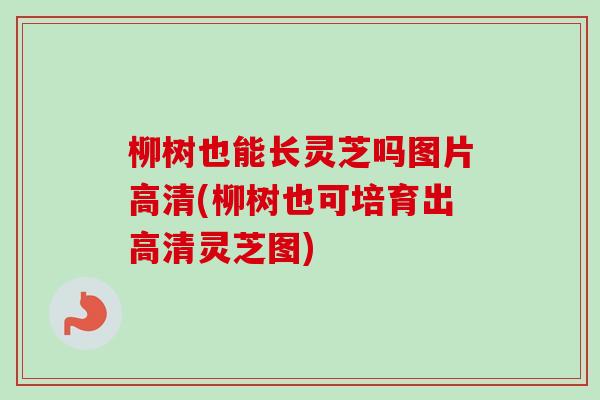 柳树也能长灵芝吗图片高清(柳树也可培育出高清灵芝图)