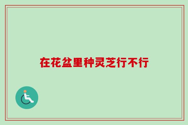 在花盆里种灵芝行不行 在花盆里种灵芝行不行
