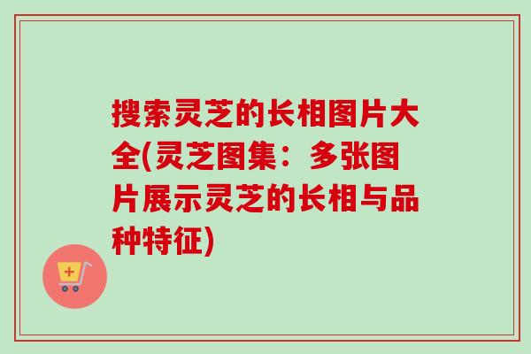 搜索灵芝的长相图片大全(灵芝图集：多张图片展示灵芝的长相与品种特征)