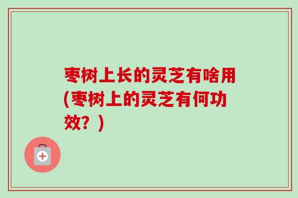 枣树上长的灵芝有啥用(枣树上的灵芝有何功效?) 枣树上长的灵芝有啥用(枣树上的灵芝有何功效?)