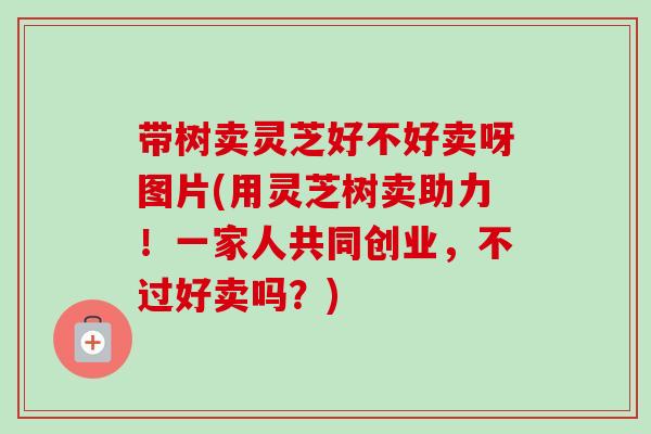 带树卖灵芝好不好卖呀图片(用灵芝树卖助力！一家人共同创业，不过好卖吗？)