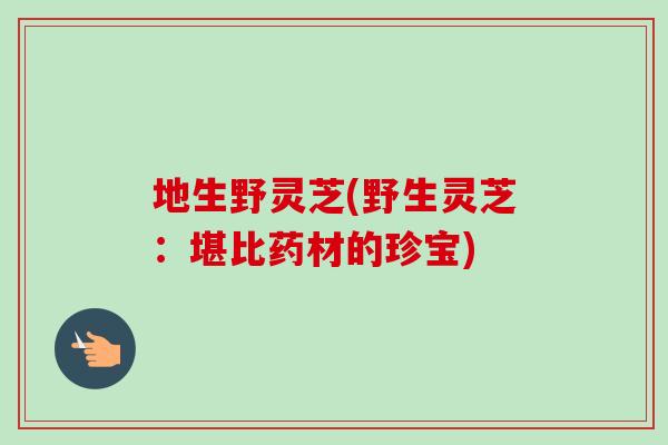 地生野灵芝(野生灵芝：堪比药材的珍宝)