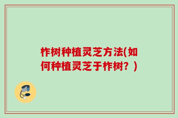 柞树种植灵芝方法(如何种植灵芝于柞树？)