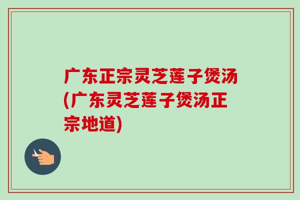 广东正宗灵芝莲子煲汤(广东灵芝莲子煲汤正宗地道)