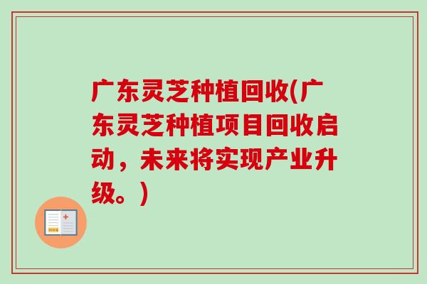广东灵芝种植回收(广东灵芝种植项目回收启动，未来将实现产业升级。)