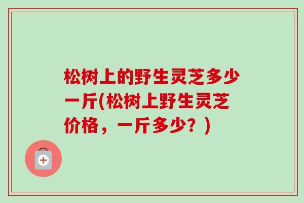 松树上的野生灵芝多少一斤(松树上野生灵芝价格，一斤多少？)