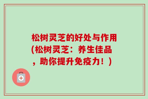 松树灵芝的好处与作用(松树灵芝：养生佳品，助你提升免疫力！)