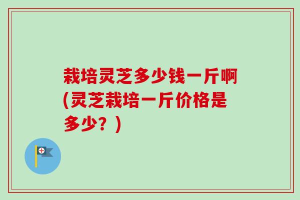 栽培灵芝多少钱一斤啊(灵芝栽培一斤价格是多少？)