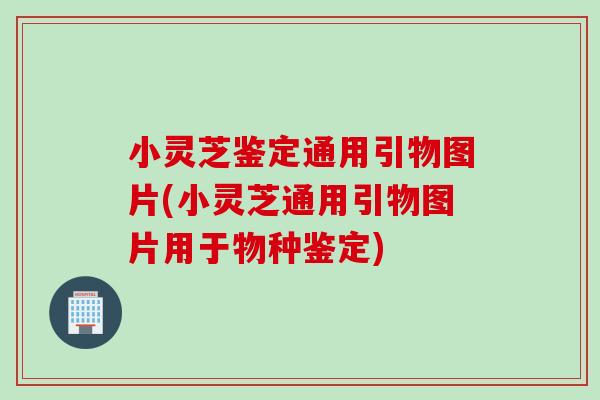 小灵芝鉴定通用引物图片(小灵芝通用引物图片用于物种鉴定)