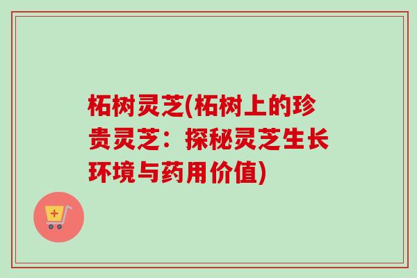 柘树灵芝(柘树上的珍贵灵芝：探秘灵芝生长环境与药用价值)