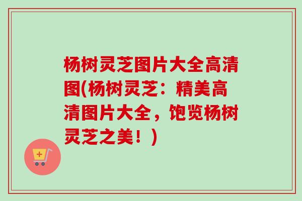 杨树灵芝图片大全高清图(杨树灵芝：精美高清图片大全，饱览杨树灵芝之美！)