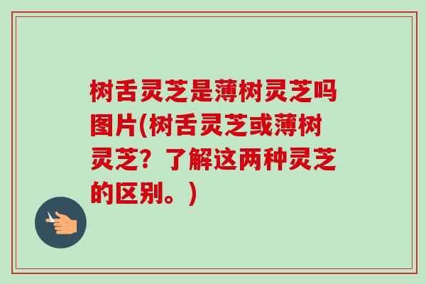 树舌灵芝是薄树灵芝吗图片(树舌灵芝或薄树灵芝？了解这两种灵芝的区别。)
