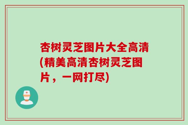 杏树灵芝图片大全高清(精美高清杏树灵芝图片，一网打尽)