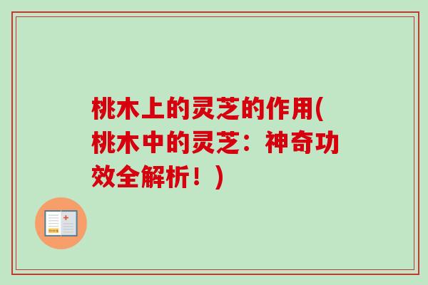 桃木上的灵芝的作用(桃木中的灵芝：神奇功效全解析！)