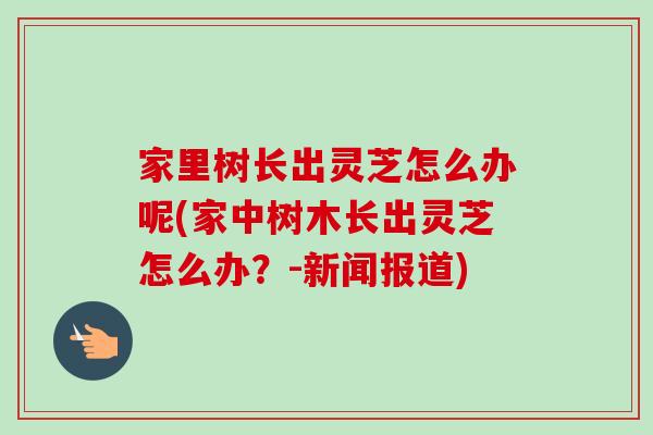 家里树长出灵芝怎么办呢(家中树木长出灵芝怎么办？-新闻报道)