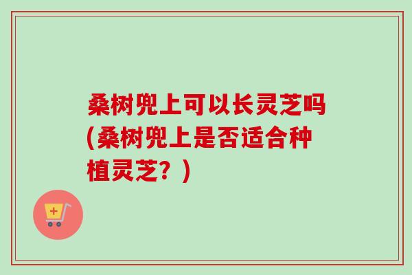 桑树兜上可以长灵芝吗(桑树兜上是否适合种植灵芝？)