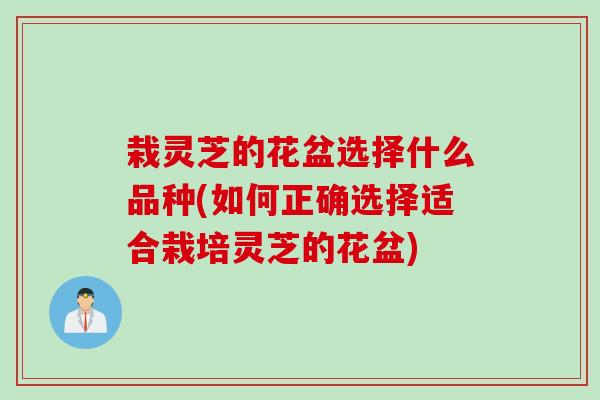 栽灵芝的花盆选择什么品种(如何正确选择适合栽培灵芝的花盆)