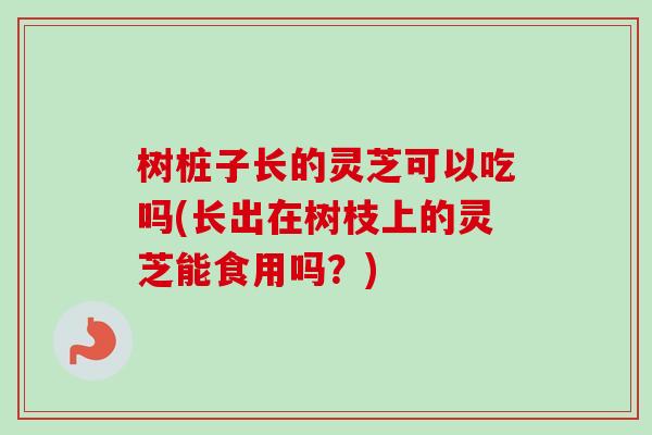 树桩子长的灵芝可以吃吗(长出在树枝上的灵芝能食用吗？)