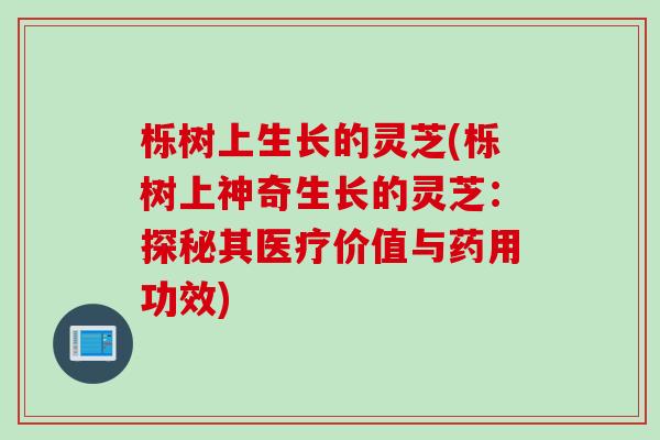 栎树上生长的灵芝(栎树上神奇生长的灵芝：探秘其医疗价值与药用功效)
