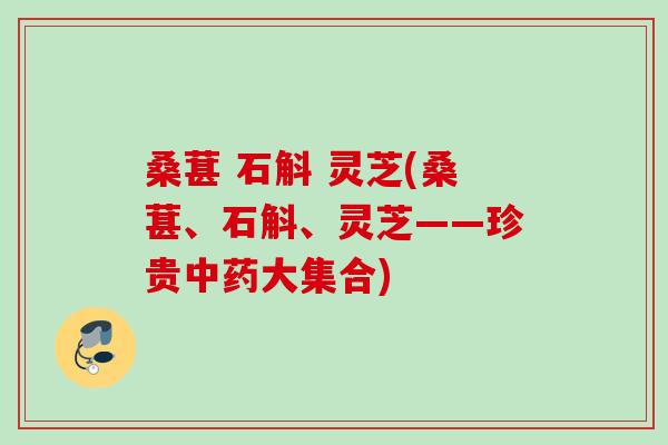 桑葚 石斛 灵芝(桑葚、石斛、灵芝——珍贵大集合) 桑葚 石斛 灵芝(桑葚、石斛、灵芝——珍贵大集合)