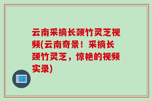云南采摘长颈竹灵芝视频(云南奇景！采摘长颈竹灵芝，惊艳的视频实录)