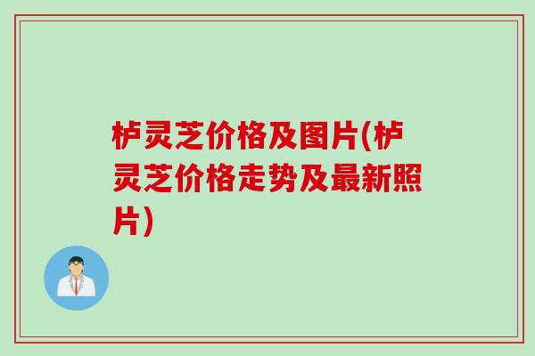 栌灵芝价格及图片(栌灵芝价格走势及最新照片)