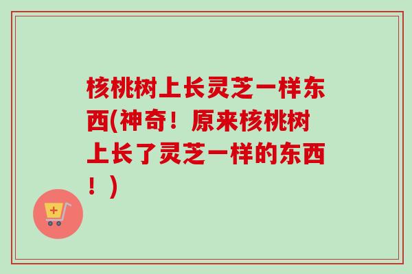 核桃树上长灵芝一样东西(神奇！原来核桃树上长了灵芝一样的东西！)