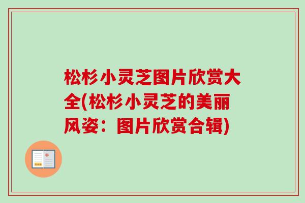 松杉小灵芝图片欣赏大全(松杉小灵芝的美丽风姿：图片欣赏合辑)