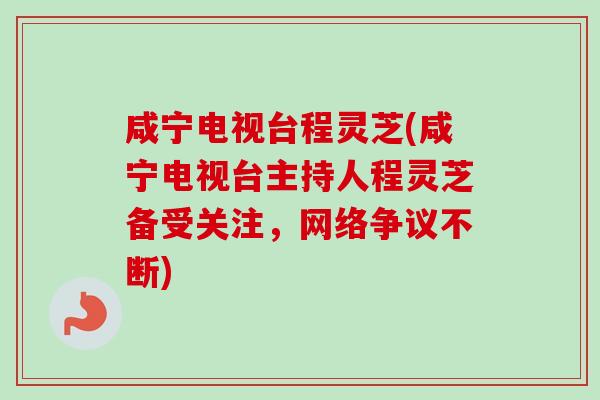 咸宁电视台程灵芝(咸宁电视台主持人程灵芝备受关注，网络争议不断)