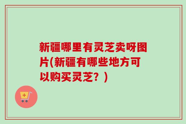 新疆哪里有灵芝卖呀图片(新疆有哪些地方可以购买灵芝?) 新疆哪里有灵芝卖呀图片(新疆有哪些地方可以购买灵芝?)