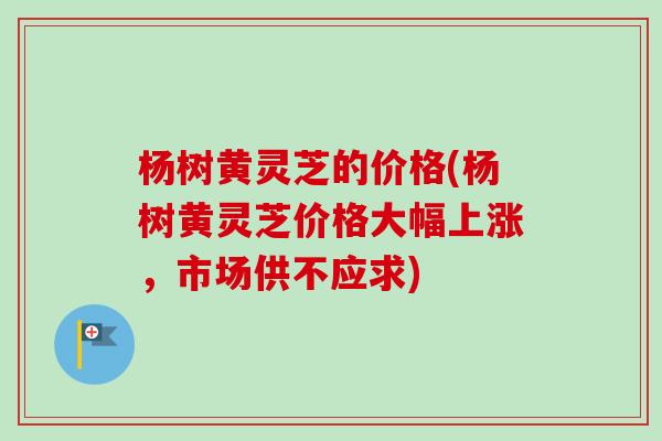 杨树黄灵芝的价格(杨树黄灵芝价格大幅上涨，市场供不应求)