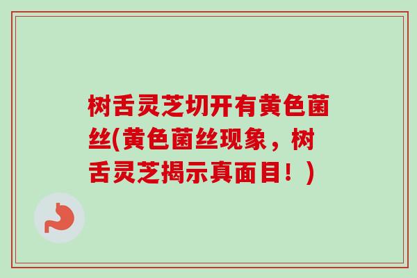 树舌灵芝切开有黄色菌丝(黄色菌丝现象，树舌灵芝揭示真面目！)