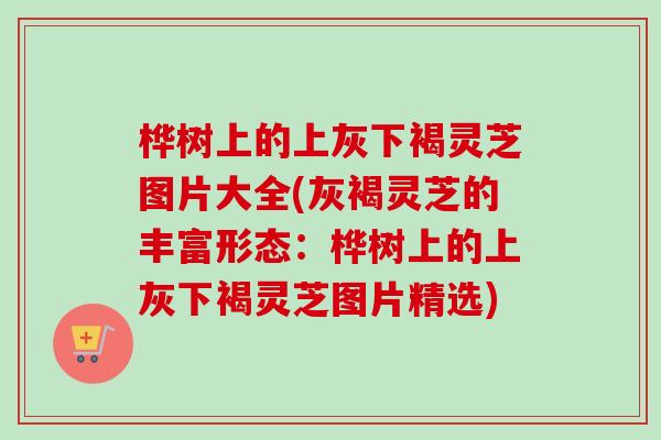 桦树上的上灰下褐灵芝图片大全(灰褐灵芝的丰富形态：桦树上的上灰下褐灵芝图片精选)