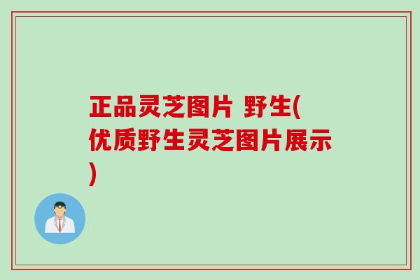 正品灵芝图片 野生(优质野生灵芝图片展示)