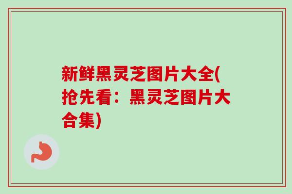 新鲜黑灵芝图片大全(抢先看：黑灵芝图片大合集)