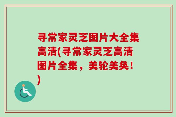 寻常家灵芝图片大全集高清(寻常家灵芝高清图片全集，美轮美奂！)