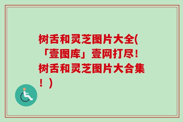 树舌和灵芝图片大全(「壹图库」壹网打尽！树舌和灵芝图片大合集！)