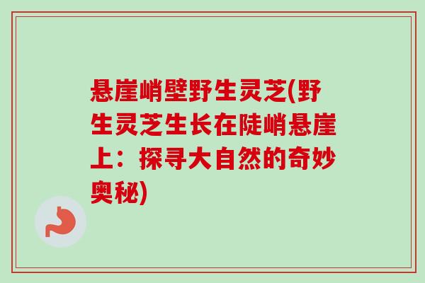 悬崖峭壁野生灵芝(野生灵芝生长在陡峭悬崖上：探寻大自然的奇妙奥秘)