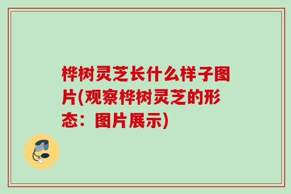 桦树灵芝长什么样子图片(观察桦树灵芝的形态：图片展示)