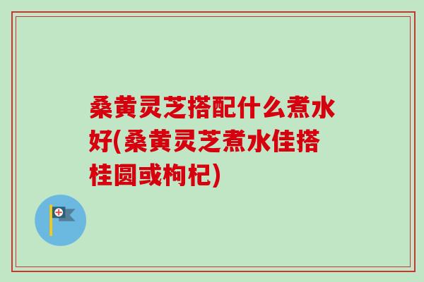 桑黄灵芝搭配什么煮水好(桑黄灵芝煮水佳搭桂圆或枸杞)