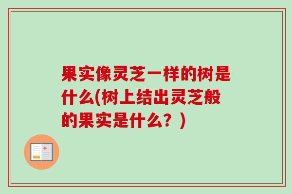 果实像灵芝一样的树是什么(树上结出灵芝般的果实是什么？)