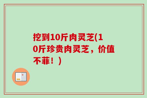 挖到10斤肉灵芝(10斤珍贵肉灵芝,价值不菲!) 挖到10斤肉灵芝(10斤珍贵肉灵芝,价值不菲!)