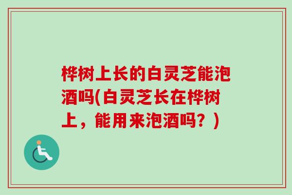 桦树上长的白灵芝能泡酒吗(白灵芝长在桦树上，能用来泡酒吗？)