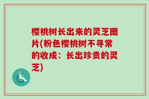 樱桃树长出来的灵芝图片(粉色樱桃树不寻常的收成：长出珍贵的灵芝)